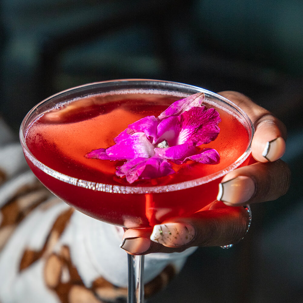 Cocktail Drink
